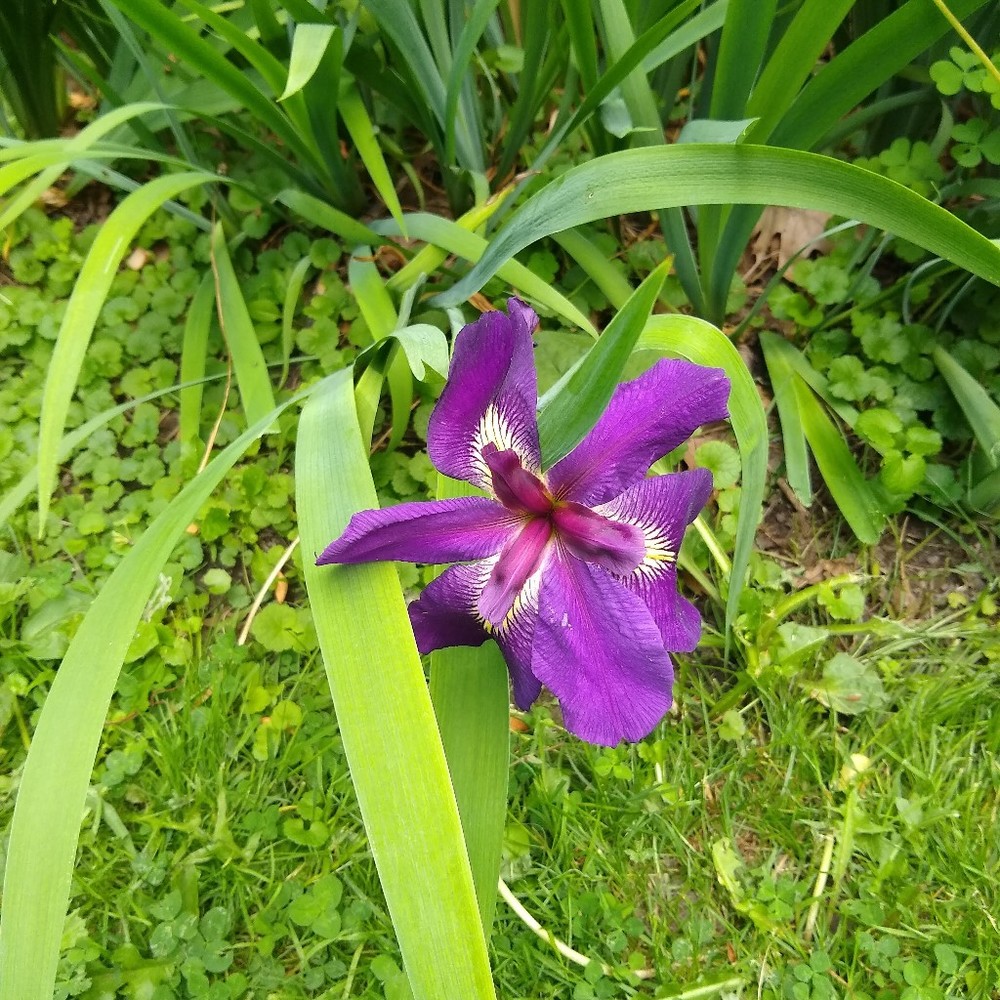 Meet your Posher, June